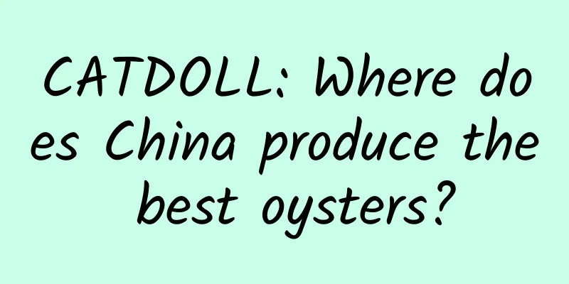 CATDOLL: Where does China produce the best oysters?