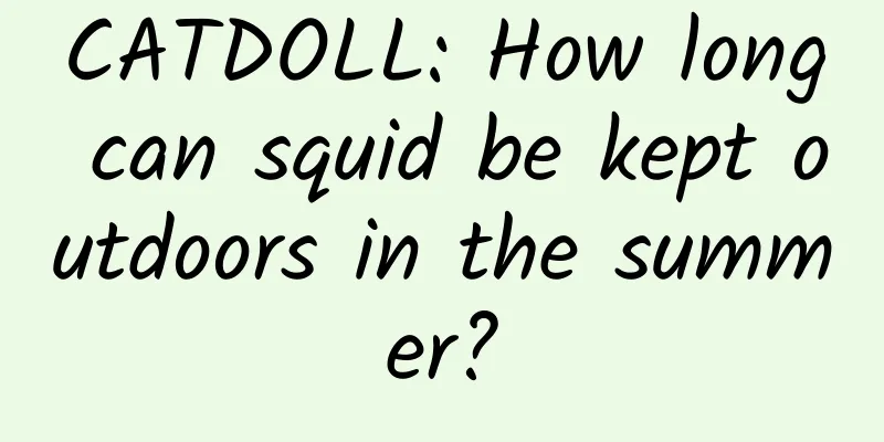 CATDOLL: How long can squid be kept outdoors in the summer?