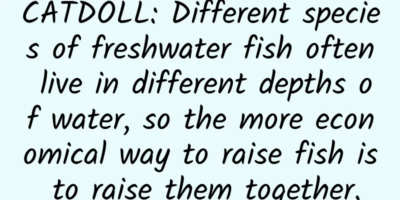 CATDOLL: Different species of freshwater fish often live in different depths of water, so the more economical way to raise fish is to raise them together.