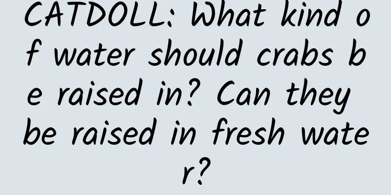 CATDOLL: What kind of water should crabs be raised in? Can they be raised in fresh water?