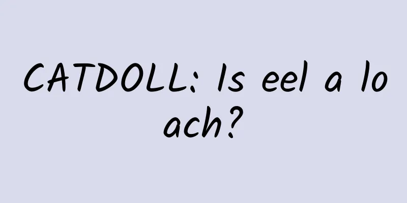 CATDOLL: Is eel a loach?
