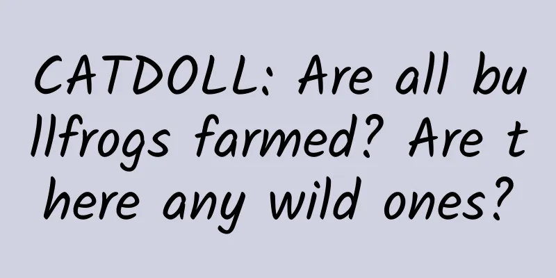 CATDOLL: Are all bullfrogs farmed? Are there any wild ones?