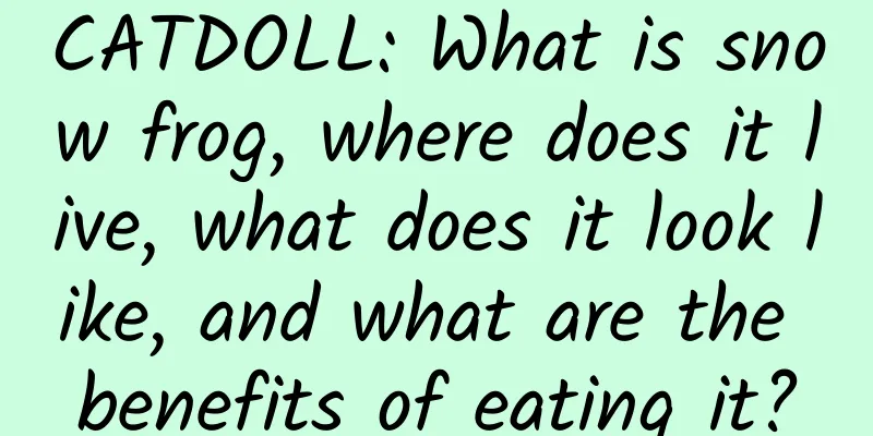 CATDOLL: What is snow frog, where does it live, what does it look like, and what are the benefits of eating it?