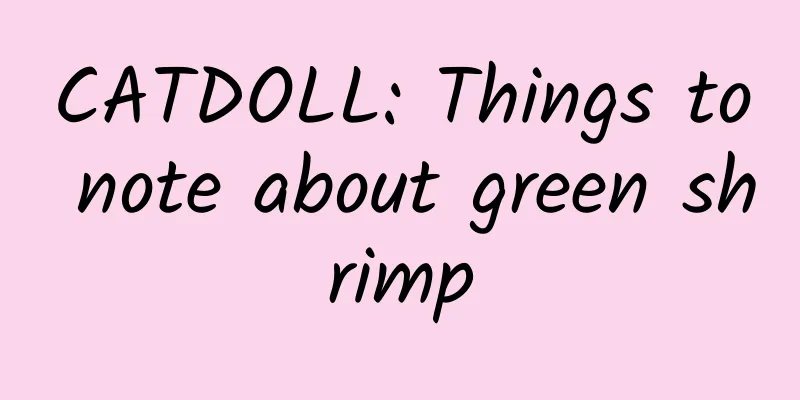 CATDOLL: Things to note about green shrimp