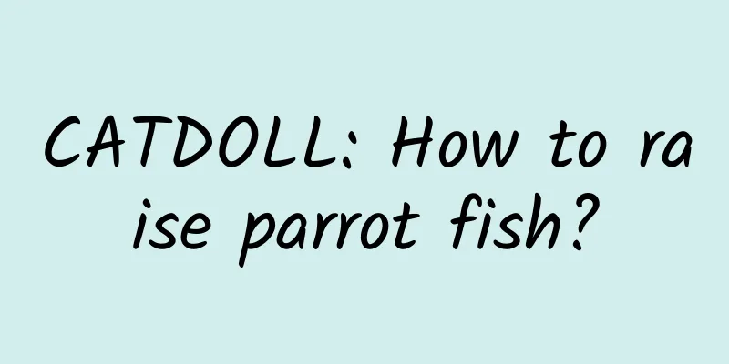 CATDOLL: How to raise parrot fish?