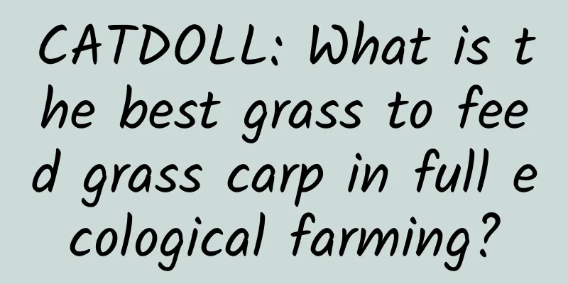 CATDOLL: What is the best grass to feed grass carp in full ecological farming?