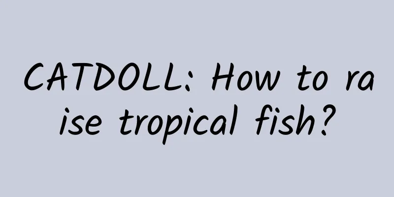 CATDOLL: How to raise tropical fish?