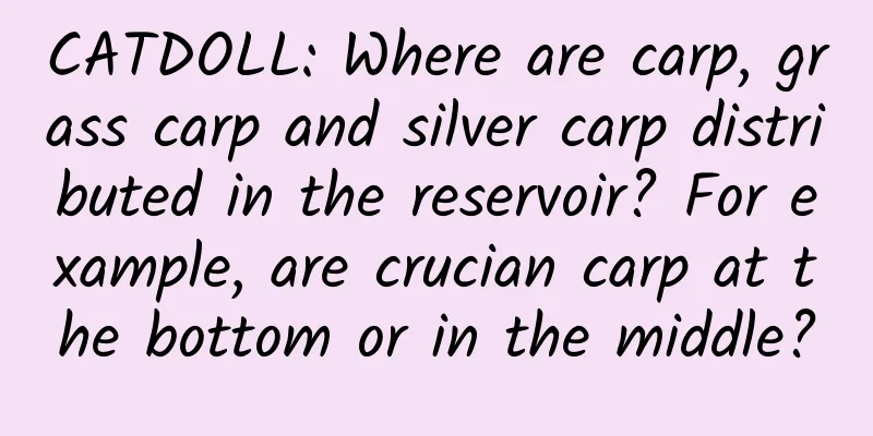 CATDOLL: Where are carp, grass carp and silver carp distributed in the reservoir? For example, are crucian carp at the bottom or in the middle?
