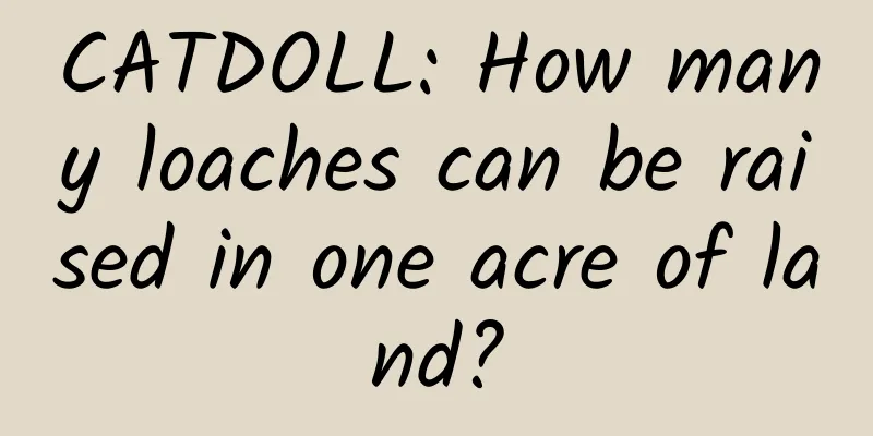 CATDOLL: How many loaches can be raised in one acre of land?