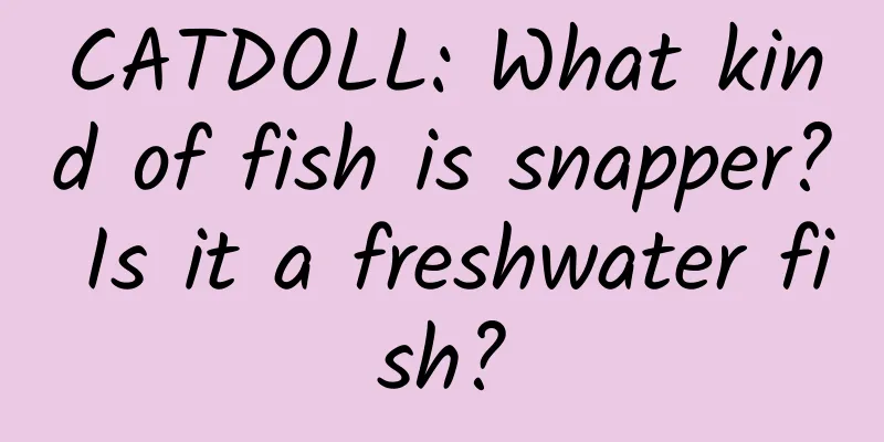 CATDOLL: What kind of fish is snapper? Is it a freshwater fish?