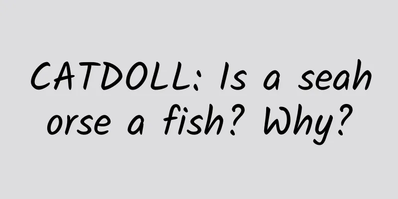 CATDOLL: Is a seahorse a fish? Why?