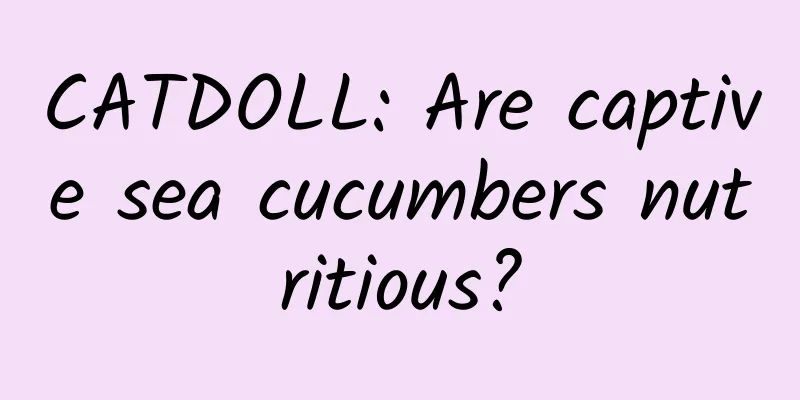 CATDOLL: Are captive sea cucumbers nutritious?