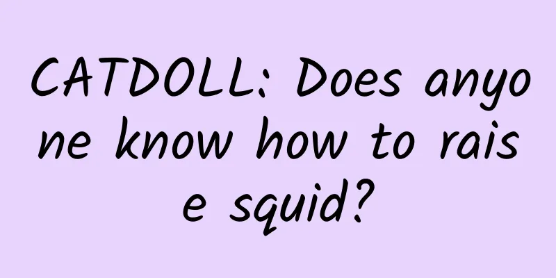 CATDOLL: Does anyone know how to raise squid?