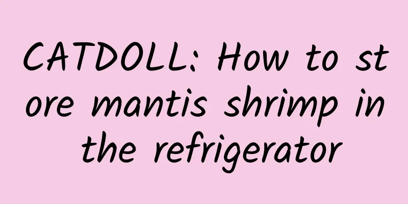 CATDOLL: How to store mantis shrimp in the refrigerator