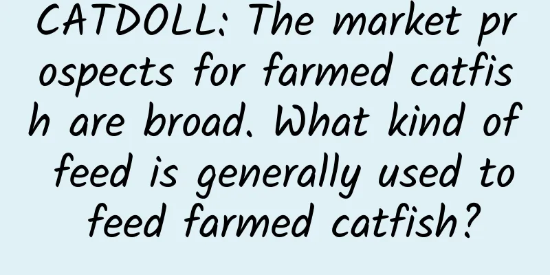 CATDOLL: The market prospects for farmed catfish are broad. What kind of feed is generally used to feed farmed catfish?