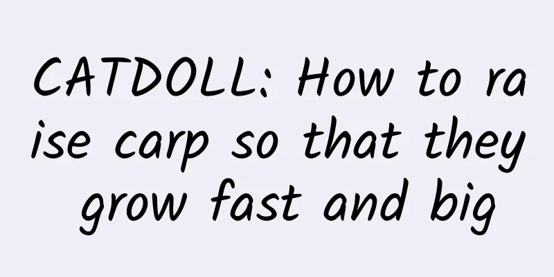 CATDOLL: How to raise carp so that they grow fast and big
