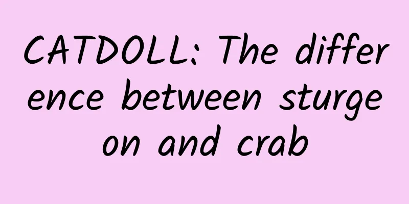 CATDOLL: The difference between sturgeon and crab