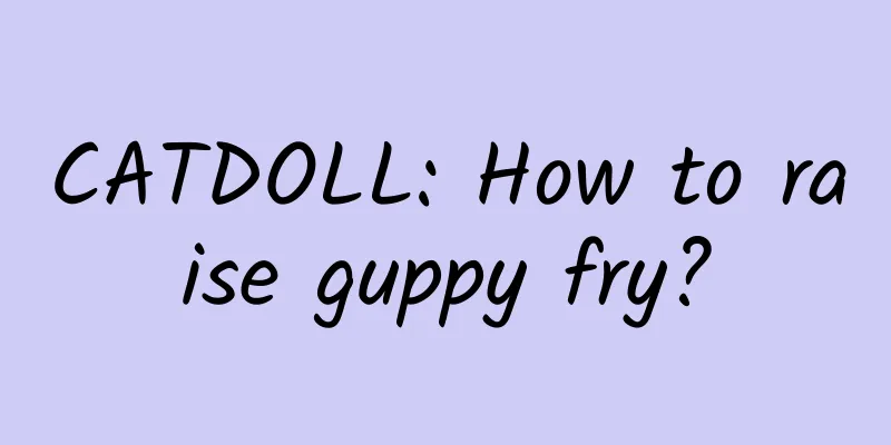 CATDOLL: How to raise guppy fry?