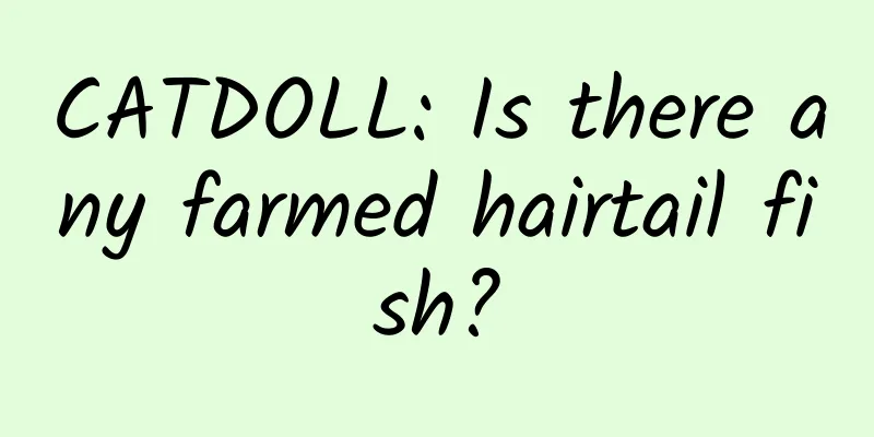 CATDOLL: Is there any farmed hairtail fish?