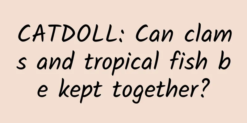 CATDOLL: Can clams and tropical fish be kept together?