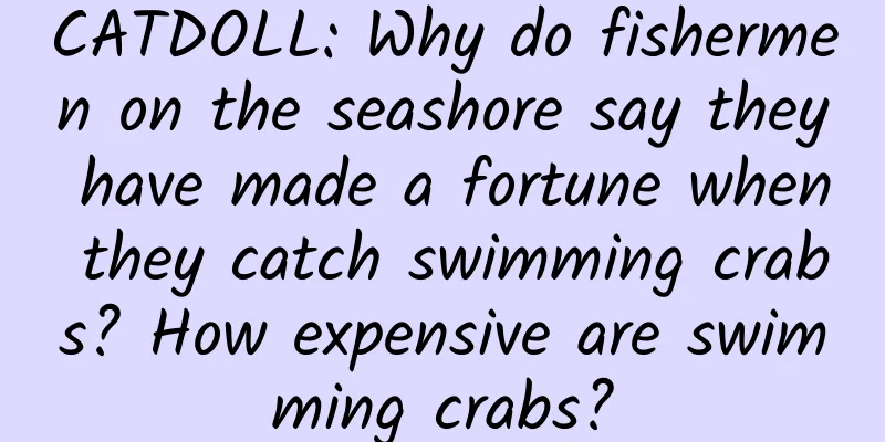 CATDOLL: Why do fishermen on the seashore say they have made a fortune when they catch swimming crabs? How expensive are swimming crabs?