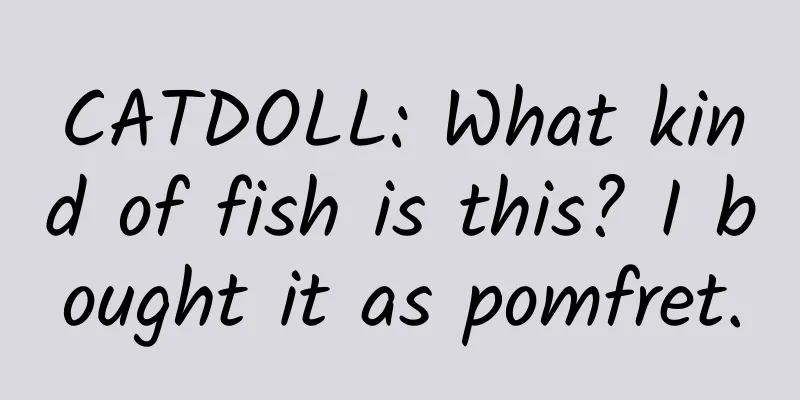 CATDOLL: What kind of fish is this? I bought it as pomfret.