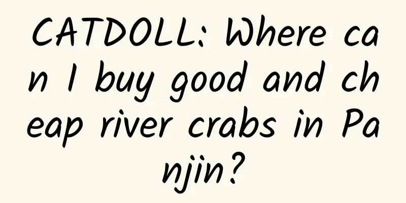 CATDOLL: Where can I buy good and cheap river crabs in Panjin?