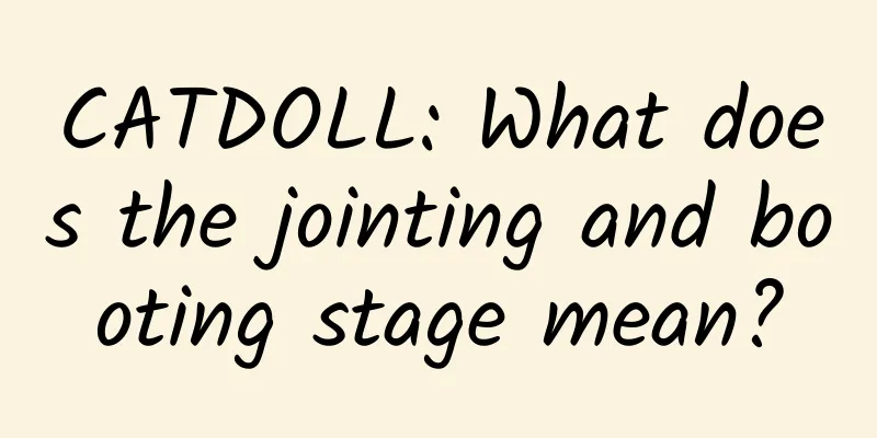 CATDOLL: What does the jointing and booting stage mean?