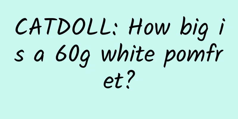 CATDOLL: How big is a 60g white pomfret?