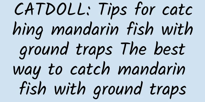 CATDOLL: Tips for catching mandarin fish with ground traps The best way to catch mandarin fish with ground traps