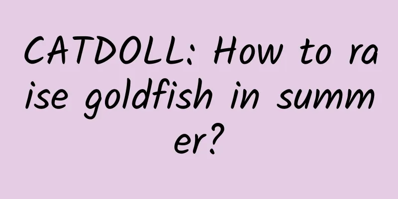 CATDOLL: How to raise goldfish in summer?