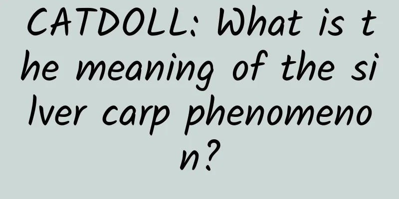 CATDOLL: What is the meaning of the silver carp phenomenon?