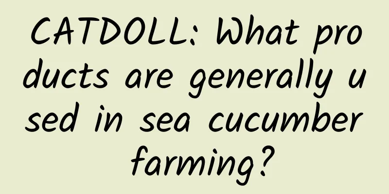 CATDOLL: What products are generally used in sea cucumber farming?