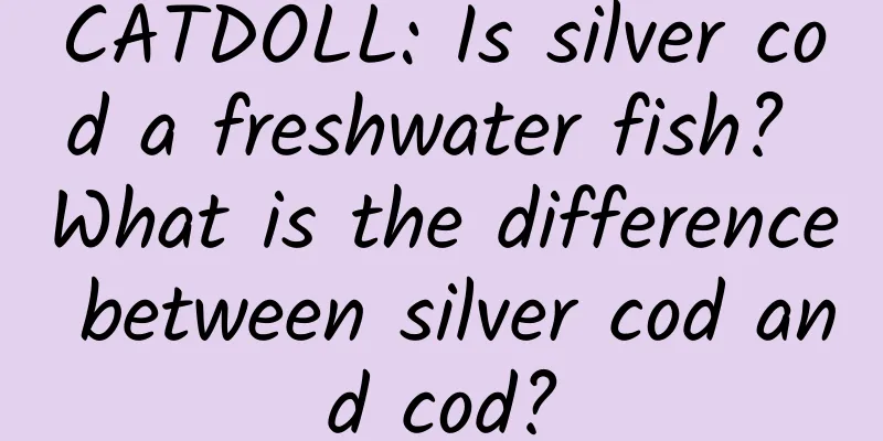 CATDOLL: Is silver cod a freshwater fish? What is the difference between silver cod and cod?