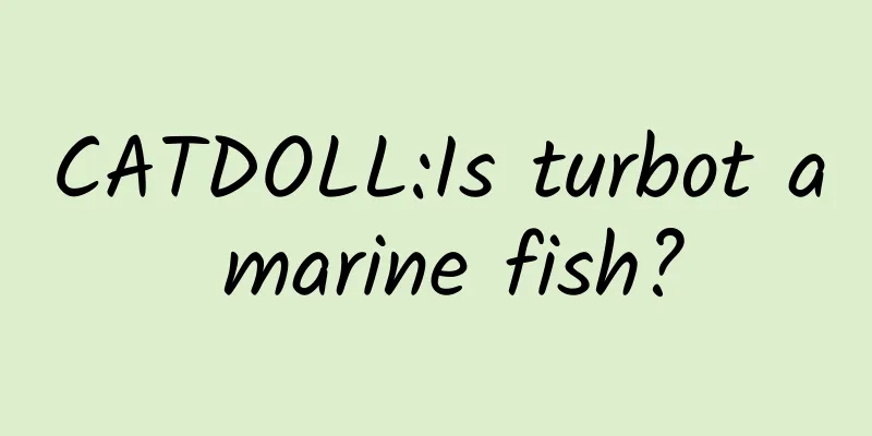 CATDOLL:Is turbot a marine fish?