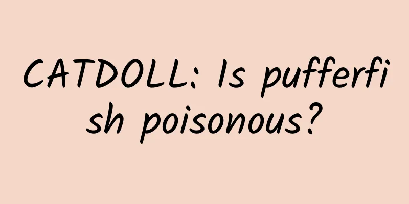 CATDOLL: Is pufferfish poisonous?