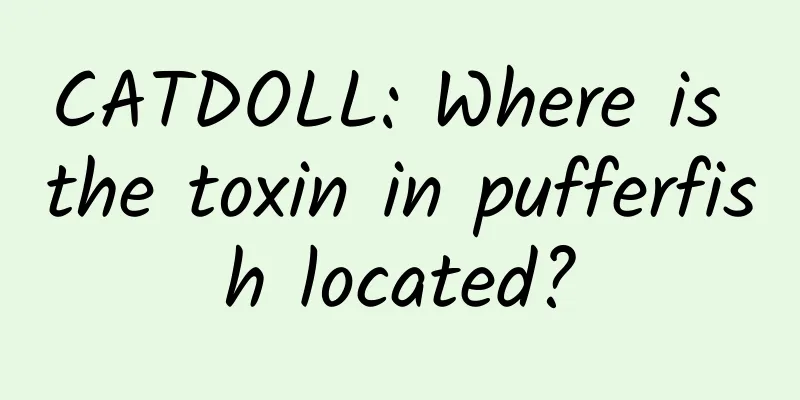 CATDOLL: Where is the toxin in pufferfish located?