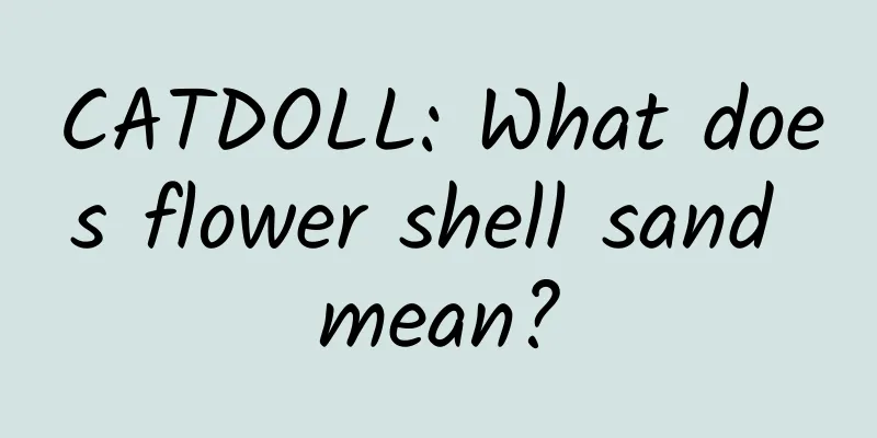 CATDOLL: What does flower shell sand mean?