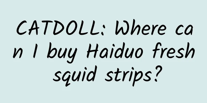 CATDOLL: Where can I buy Haiduo fresh squid strips?