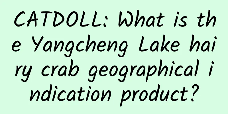 CATDOLL: What is the Yangcheng Lake hairy crab geographical indication product?