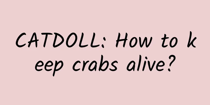 CATDOLL: How to keep crabs alive?