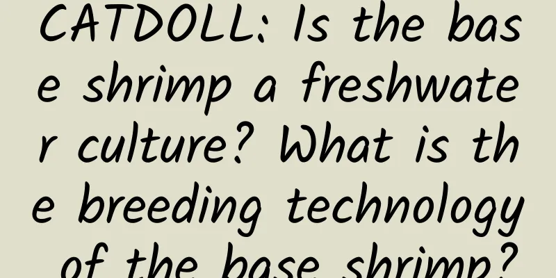 CATDOLL: Is the base shrimp a freshwater culture? What is the breeding technology of the base shrimp?