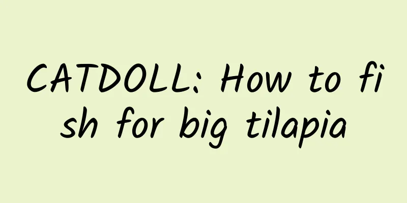 CATDOLL: How to fish for big tilapia