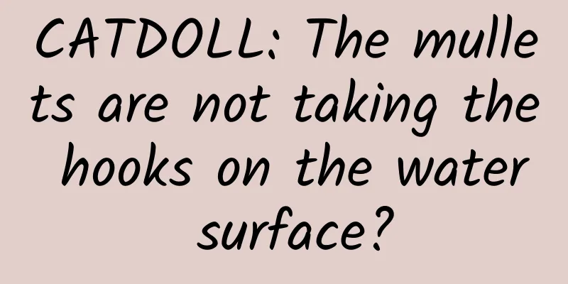 CATDOLL: The mullets are not taking the hooks on the water surface?