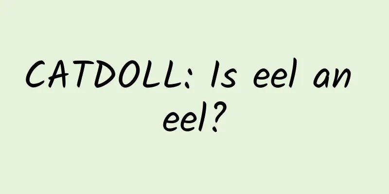 CATDOLL: Is eel an eel?
