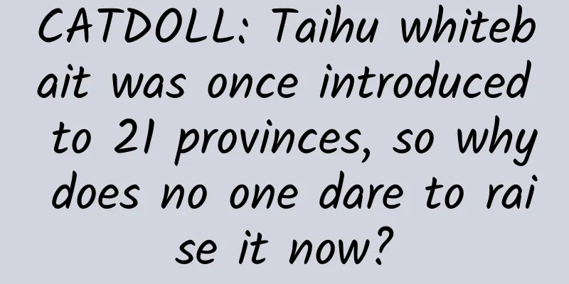 CATDOLL: Taihu whitebait was once introduced to 21 provinces, so why does no one dare to raise it now?