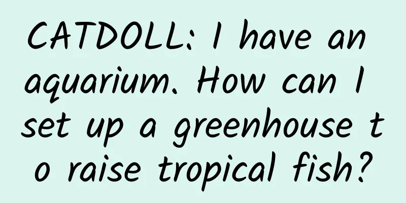 CATDOLL: I have an aquarium. How can I set up a greenhouse to raise tropical fish?