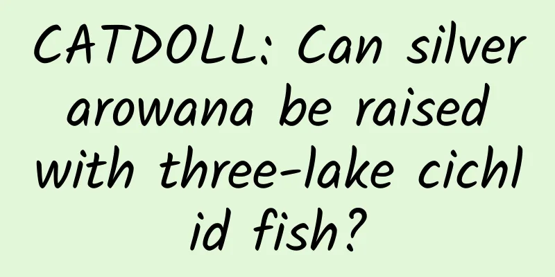 CATDOLL: Can silver arowana be raised with three-lake cichlid fish?