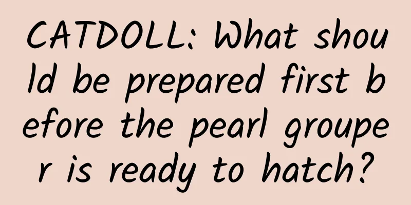 CATDOLL: What should be prepared first before the pearl grouper is ready to hatch?
