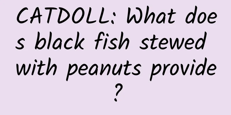 CATDOLL: What does black fish stewed with peanuts provide?
